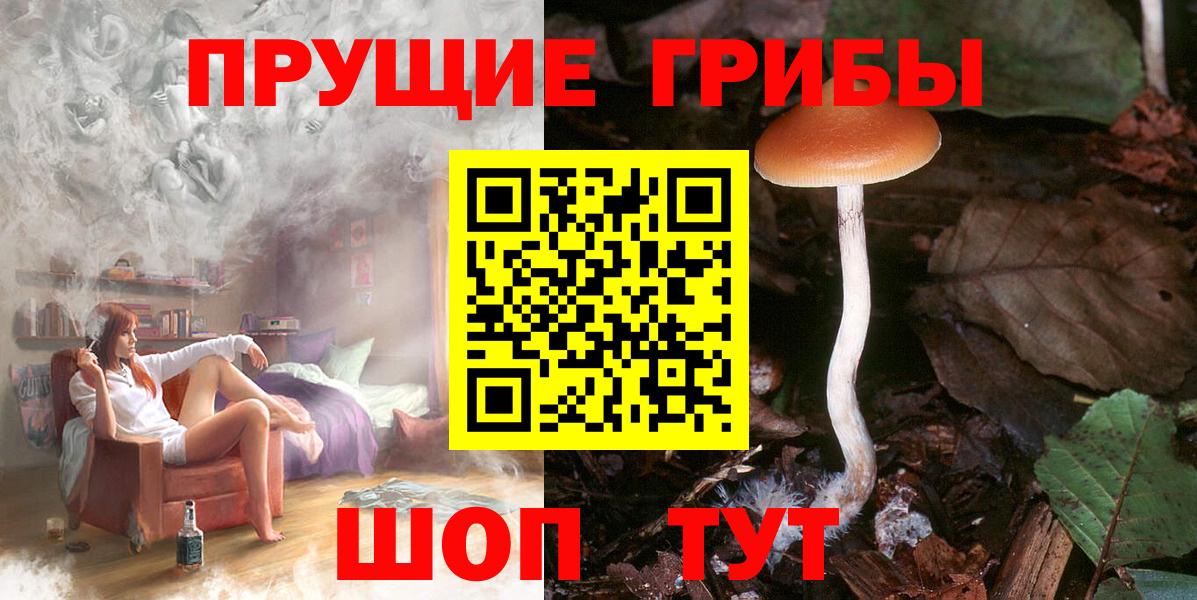 Галлюциногенные грибы GOLDEN TEACHER  Галлюциногенные грибы Psilocybe  Куйбышев  Вход с VPN 
